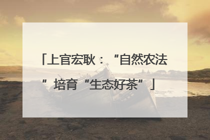 上官宏耿：“自然农法”培育“生态好茶”