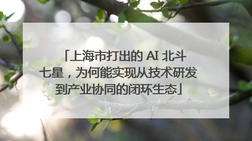 上海市打出的 AI 北斗七星，为何能实现从技术研发到产业协同的闭环生态