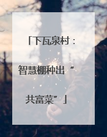 下瓦泉村：智慧棚种出“共富菜”