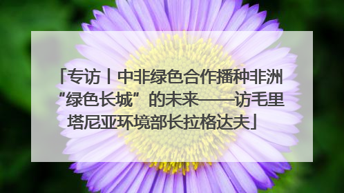 专访丨中非绿色合作播种非洲“绿色长城”的未来——访毛里塔尼亚环境部长拉格达夫