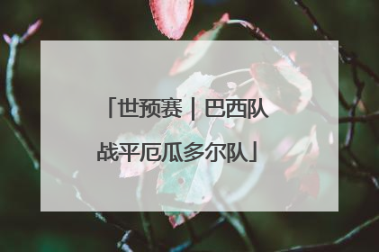 世预赛｜巴西队战平厄瓜多尔队