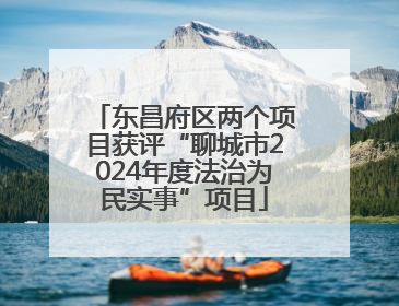 东昌府区两个项目获评“聊城市2024年度法治为民实事”项目