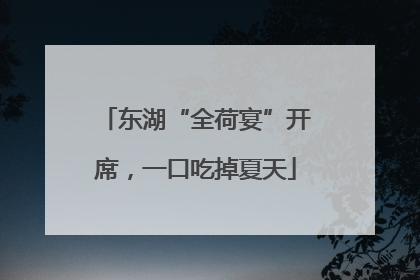 东湖“全荷宴”开席，一口吃掉夏天