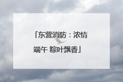东营消防：浓情端午 粽叶飘香