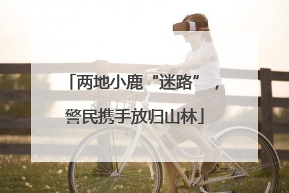 两地小鹿“迷路”，警民携手放归山林
