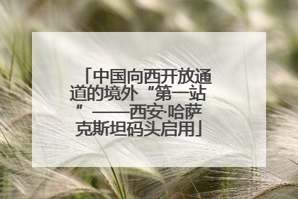 中国向西开放通道的境外“第一站”——西安·哈萨克斯坦码头启用