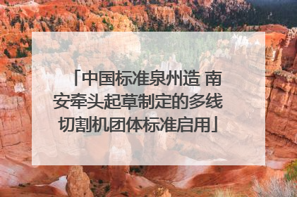 中国标准泉州造 南安牵头起草制定的多线切割机团体标准启用