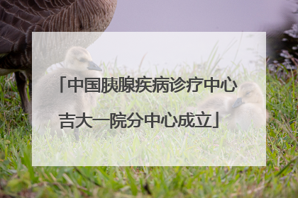 中国胰腺疾病诊疗中心吉大一院分中心成立