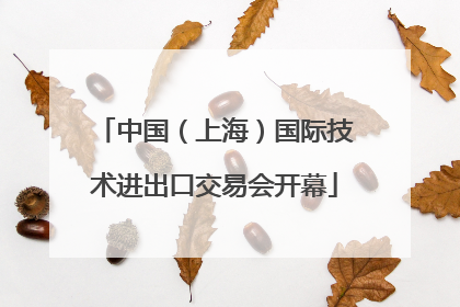 中国（上海）国际技术进出口交易会开幕