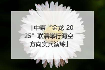 中柬“金龙-2025”联演举行海空方向实兵演练