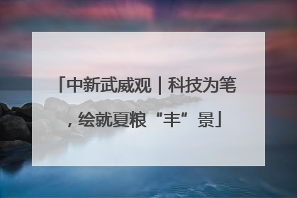 中新武威观｜科技为笔，绘就夏粮“丰”景