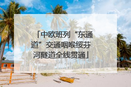 中欧班列“东通道”交通咽喉绥芬河隧道全线贯通