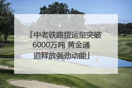 中老铁路货运量突破6000万吨 黄金通道释放强劲动能