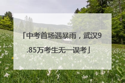 中考首场遇暴雨，武汉9.85万考生无一误考