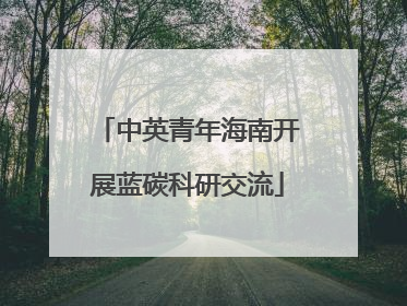 中英青年海南开展蓝碳科研交流