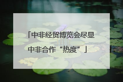 中非经贸博览会尽显中非合作“热度”