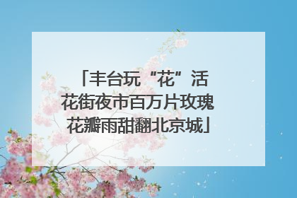 丰台玩“花”活 花街夜市百万片玫瑰花瓣雨甜翻北京城
