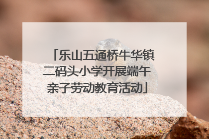 乐山五通桥牛华镇二码头小学开展端午亲子劳动教育活动
