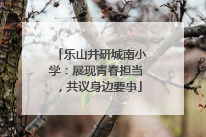 乐山井研城南小学：展现青春担当，共议身边要事