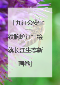 九江公安“铁腕护江”绘就长江生态新画卷