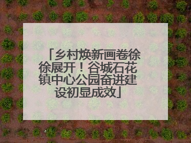 乡村焕新画卷徐徐展开！谷城石花镇中心公园奋进建设初显成效