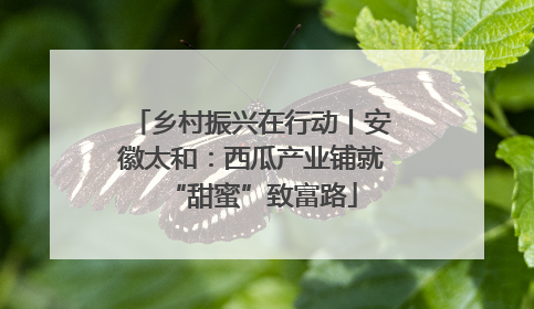 乡村振兴在行动丨安徽太和：西瓜产业铺就“甜蜜”致富路