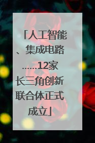 人工智能、集成电路……12家长三角创新联合体正式成立