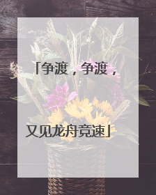 争渡，争渡，又见龙舟竞速