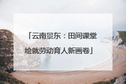 云南景东：田间课堂绘就劳动育人新画卷