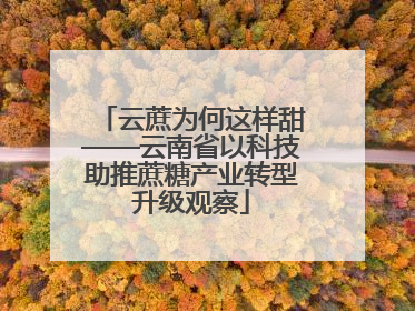 云蔗为何这样甜——云南省以科技助推蔗糖产业转型升级观察
