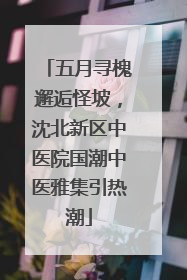 五月寻槐邂逅怪坡，沈北新区中医院国潮中医雅集引热潮