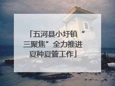五河县小圩镇“三聚焦”全力推进夏种夏管工作