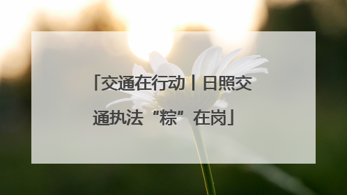 交通在行动丨日照交通执法“粽”在岗