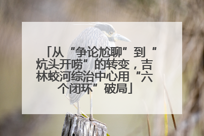 从“争论尬聊”到“炕头开唠”的转变，吉林蛟河综治中心用“六个闭环”破局