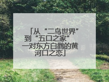 从“二鸟世界”到“五口之家” 一对东方白鹳的黄河口之恋
