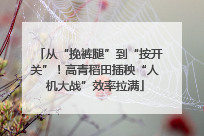 从“挽裤腿”到“按开关”！高青稻田插秧“人机大战”效率拉满