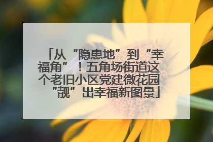 从“隐患地”到“幸福角”！五角场街道这个老旧小区党建微花园“靓”出幸福新图景