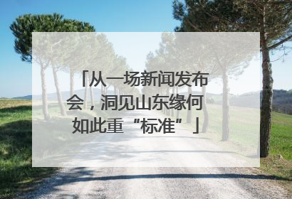 从一场新闻发布会，洞见山东缘何如此重“标准”