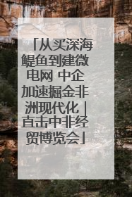 从买深海鳀鱼到建微电网 中企加速掘金非洲现代化｜直击中非经贸博览会