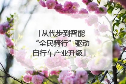 从代步到智能 “全民骑行”驱动自行车产业升级
