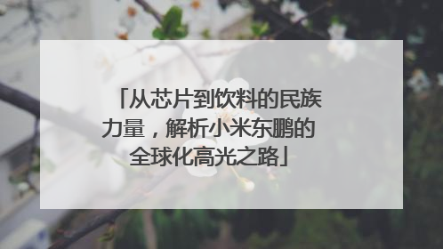 从芯片到饮料的民族力量，解析小米东鹏的全球化高光之路
