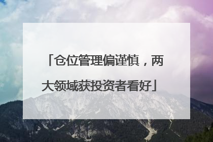 仓位管理偏谨慎，两大领域获投资者看好