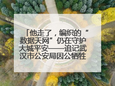 他走了，编织的“数据天网”仍在守护大城平安——追记武汉市公安局因公牺牲民警万松