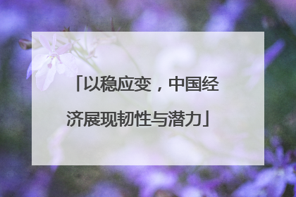 以稳应变，中国经济展现韧性与潜力