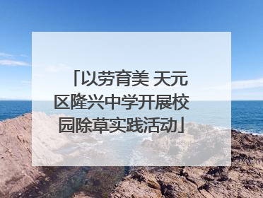 以劳育美 天元区隆兴中学开展校园除草实践活动