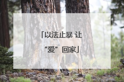 以法止暴 让“爱”回家