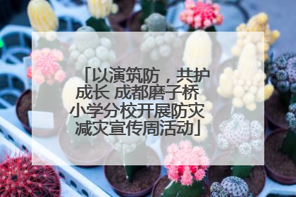 以演筑防，共护成长 成都磨子桥小学分校开展防灾减灾宣传周活动