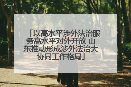 以高水平涉外法治服务高水平对外开放 山东推动形成涉外法治大协同工作格局