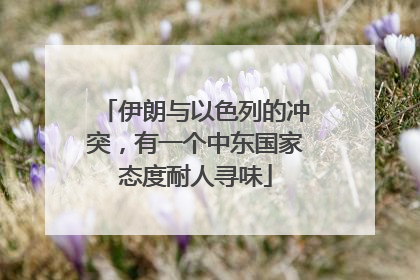 伊朗与以色列的冲突，有一个中东国家态度耐人寻味