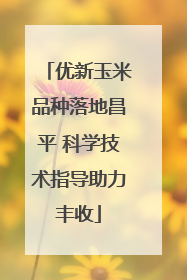 优新玉米品种落地昌平 科学技术指导助力丰收